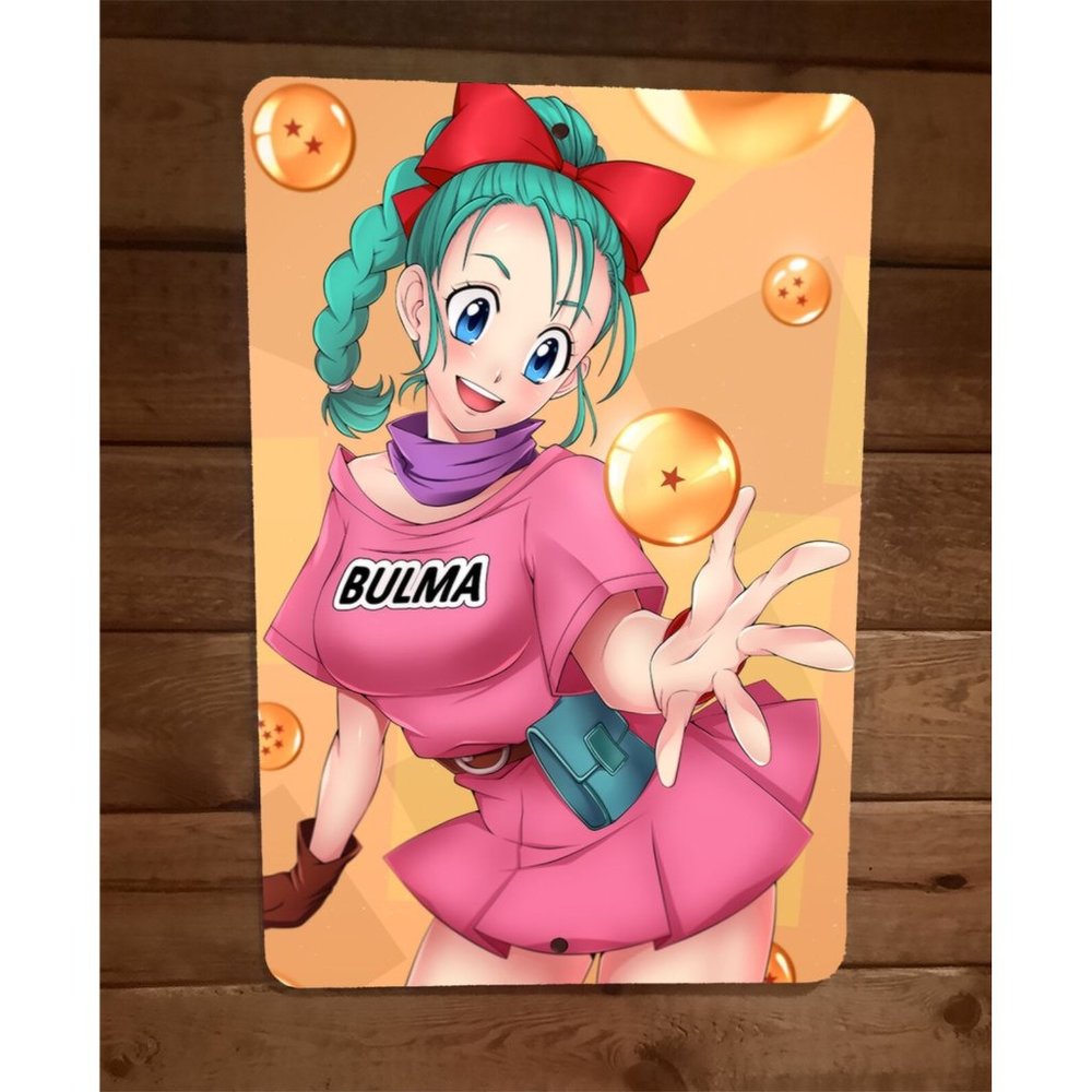 Bluma Dragon Ball Z Artwork 8x12 Metal Wall Sign Anime Poster